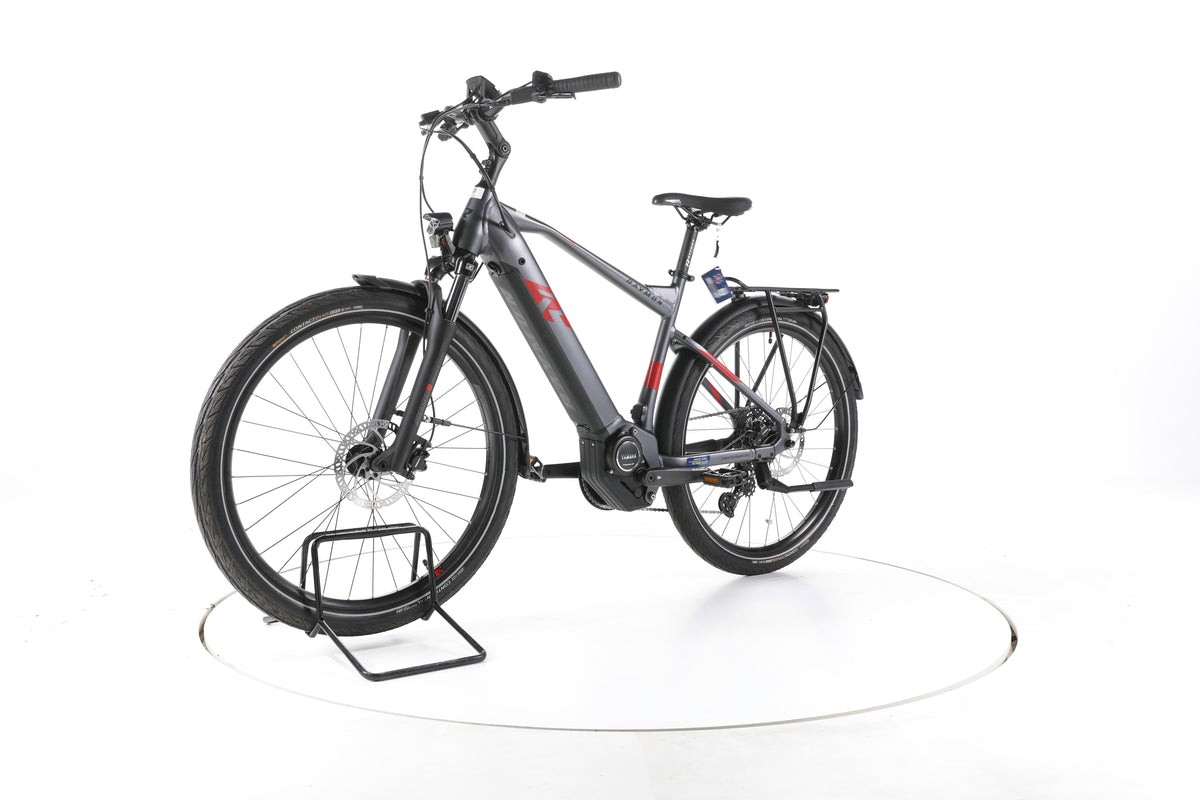 R Raymon TourRay E 6.0 Trekking E-Bike - Image 6