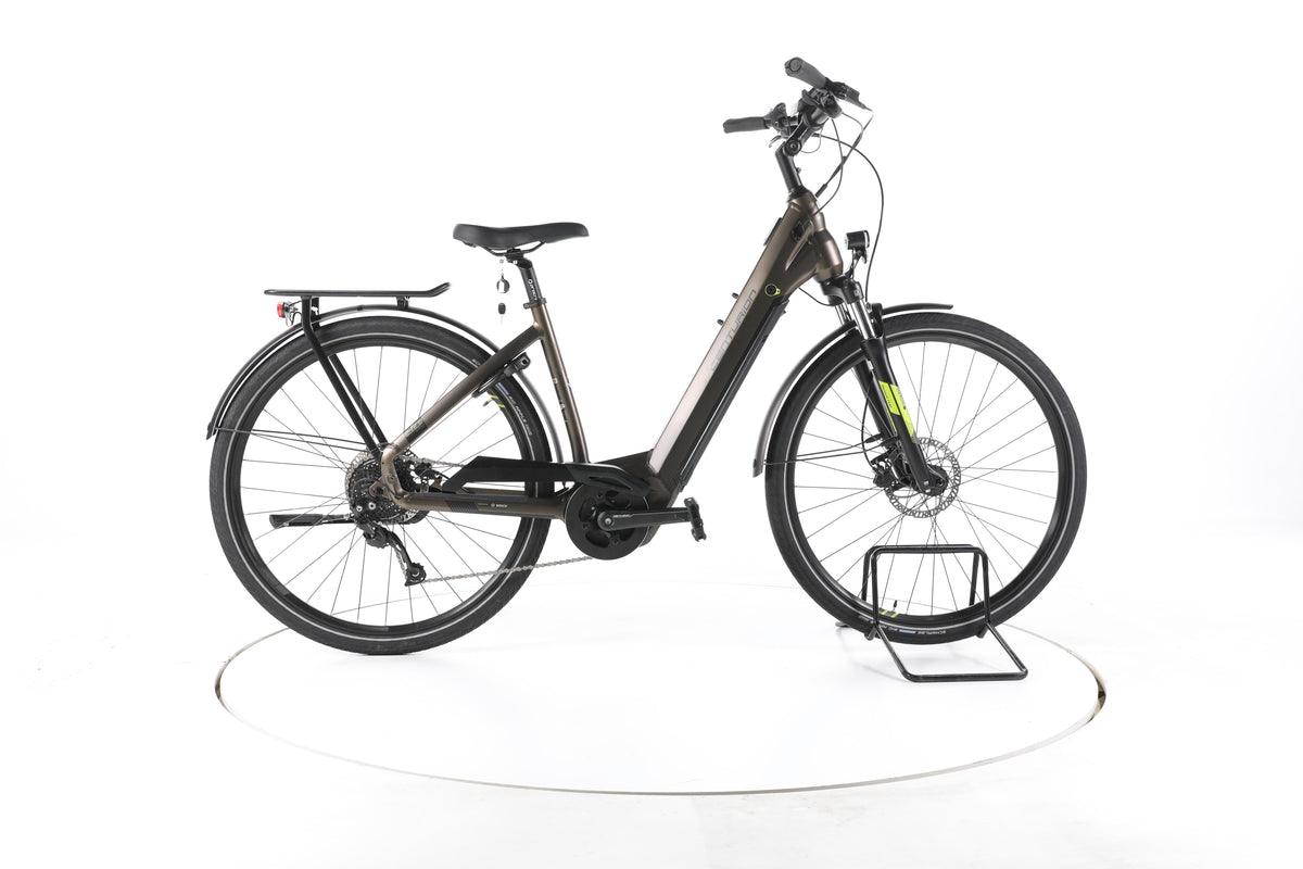 Centurion E-Fire City R750i Trekking E-Bike Tiefeinsteiger - Image 1
