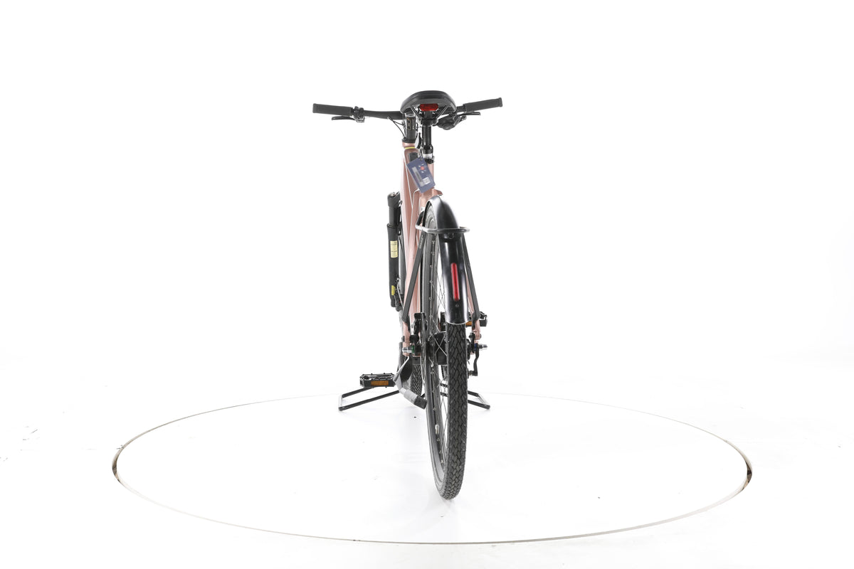 Riese & Müller UBN Seven silent City E-Bike - Image 10
