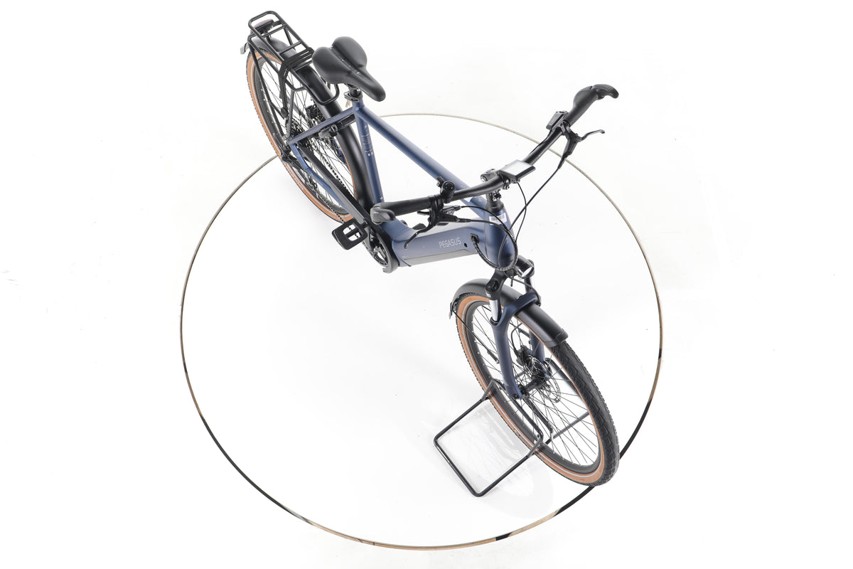 Pegasus PREMIO EVO 9 Trekking E-Bike 2025 - Image 15