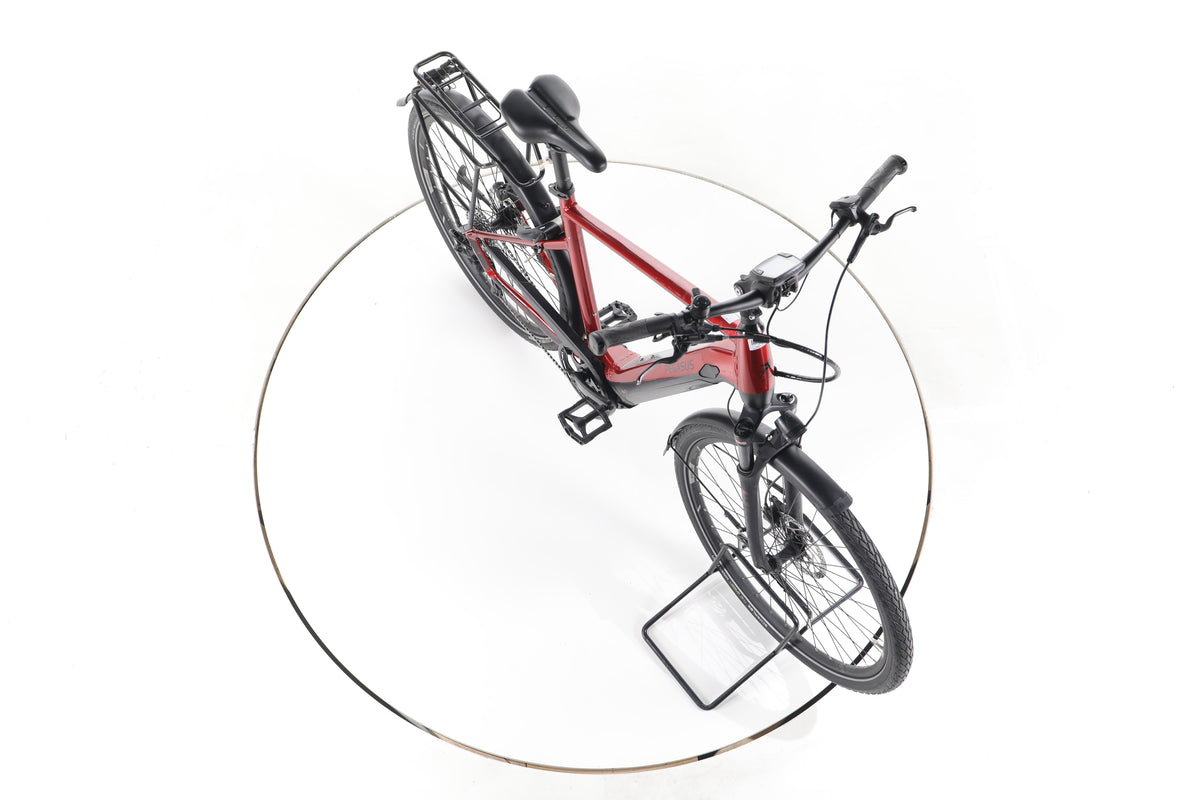 Pegasus Premio Evo 10 Lite Trekking E-Bike - Image 15