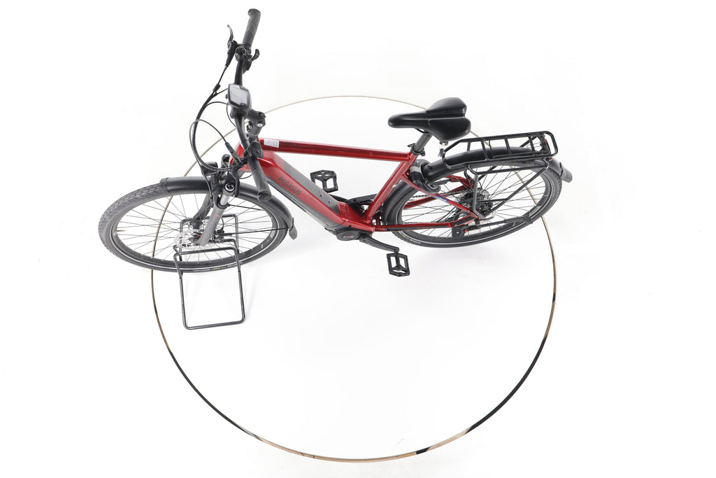 Pegasus Premio Evo 10 Lite Trekking E-Bike - Image 19