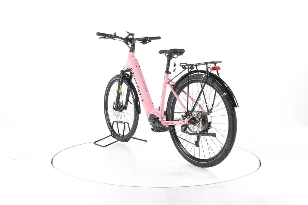 Racextract Aluhydrox E EP8 Trekking E-Bike Tiefeinsteiger - Image 9