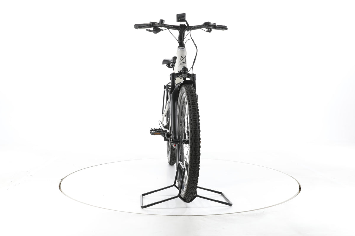 FALTER E 9.6 FS Trekking E-Bike Tiefeinsteiger - Image 4