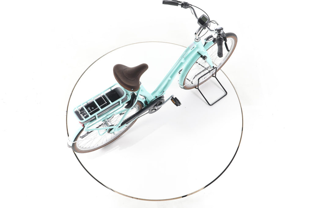 Pegasus Tourina City E-Bike Tiefeinsteiger - Image 24