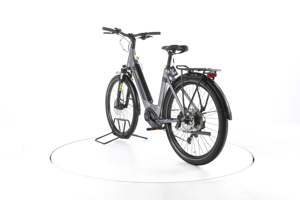 Winora Sinus iX10 Trekking E-Bike Tiefeinsteiger - Image 9