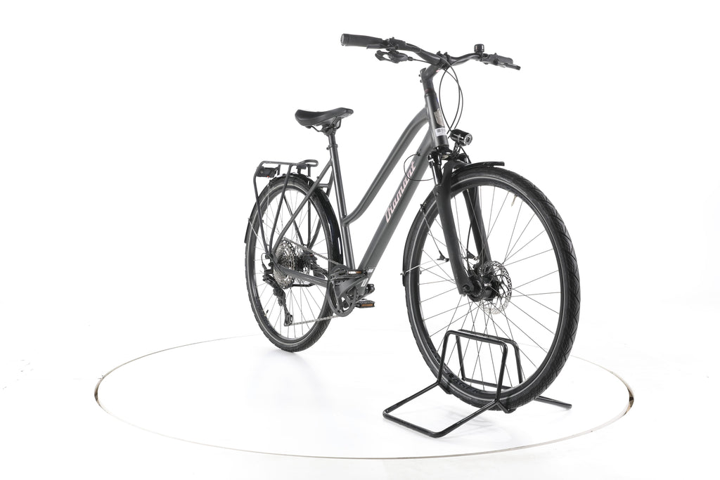 Diamant Elan Grand Deluxe Fahrrad City & Trekking - Image 3