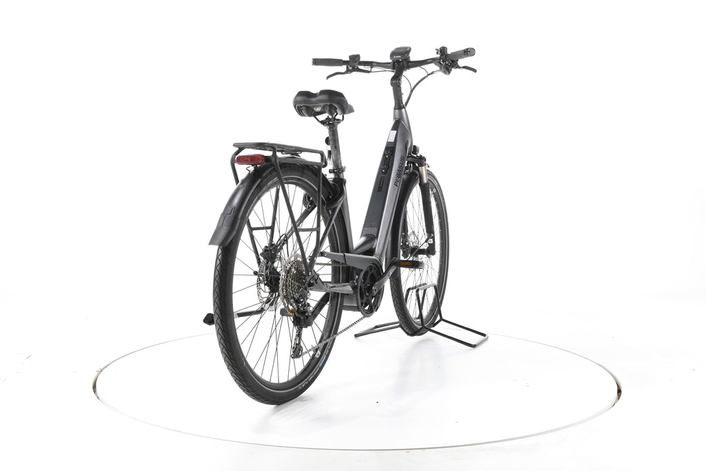 Pegasus Premio Evo 10 Lite Trekking E-Bike Tiefeinsteiger - Image 11