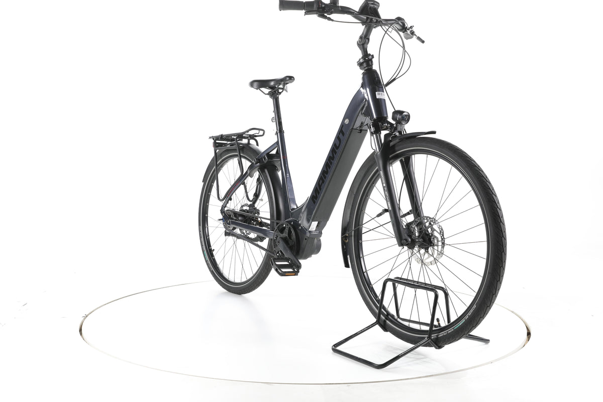 Mammut E-Dition Belt City E-Bike Tiefeinsteiger - Image 3