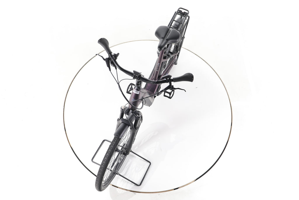 Pegasus Premio Evo 11 Trekking E-Bike Tiefeinsteiger - Image 17