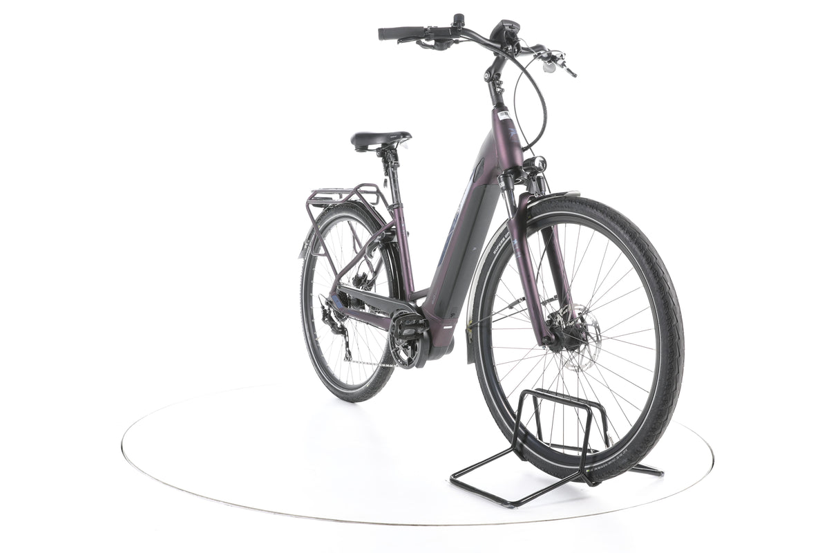 Pegasus Solero EVO 9 Trekking E-Bike Tiefeinsteiger - Image 3