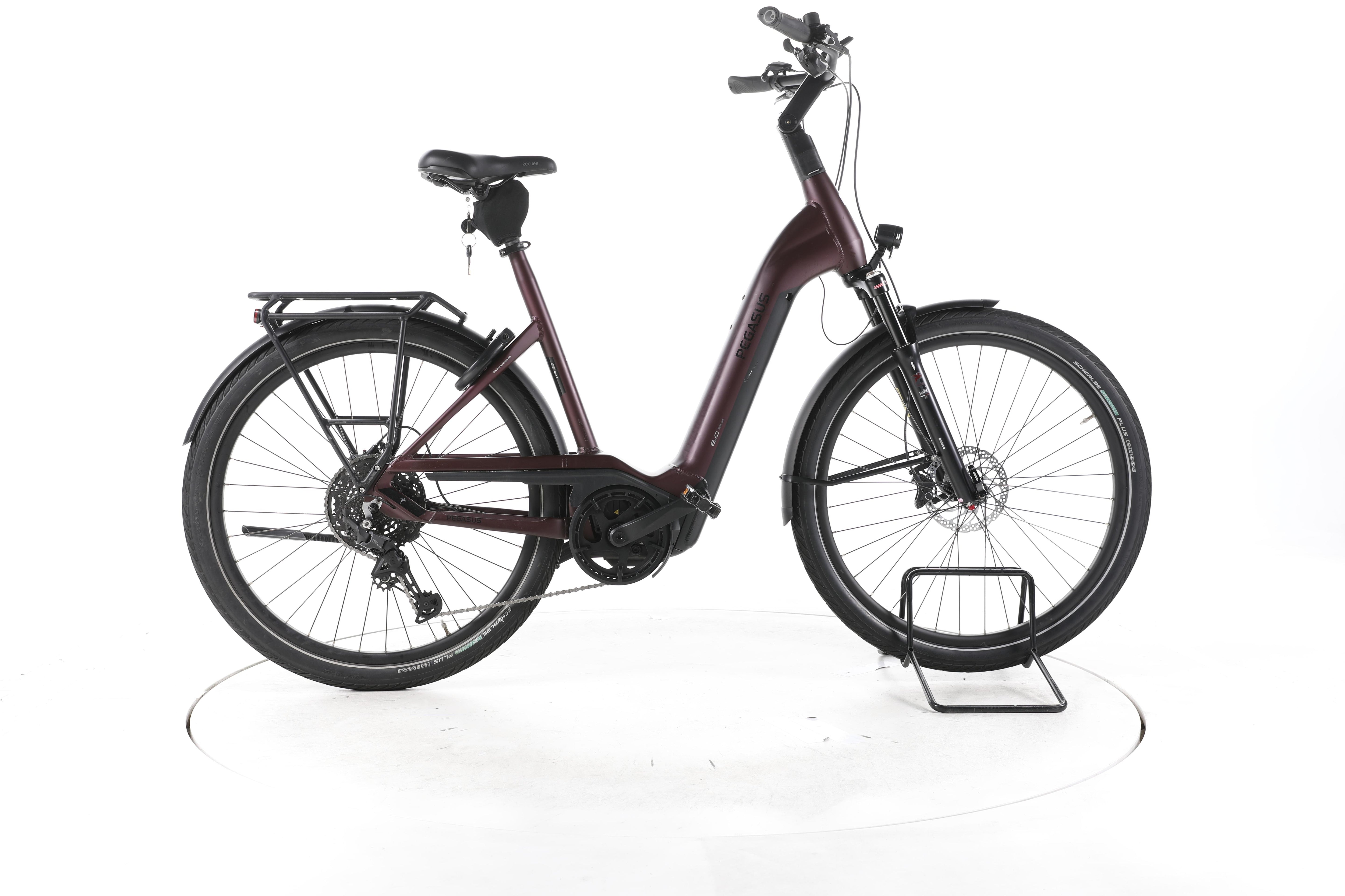 Pegasus Strong Evo 10 Lite Trekking E-Bike Tiefeinsteiger 2024 - Image 1