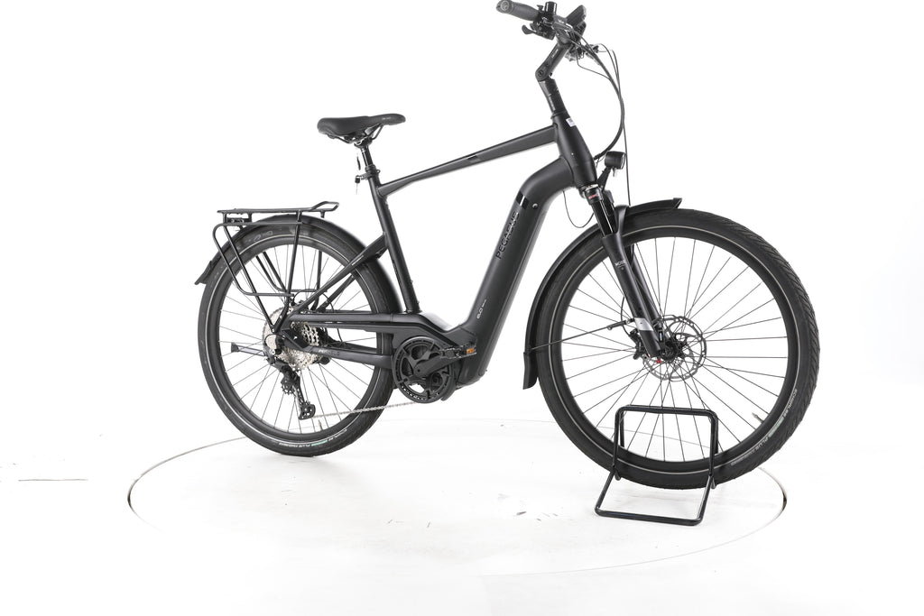 Pegasus Strong EVO 12 Lite Trekking E-Bike - Image 2