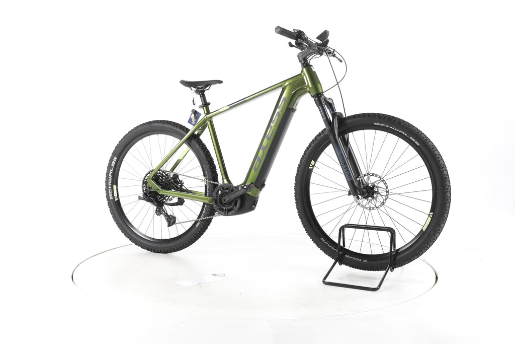 Axess Element 29 E-Bike 2024 - Image 2
