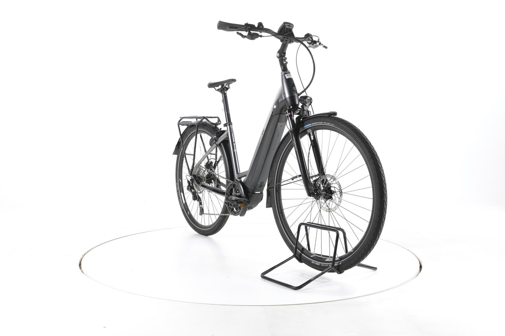 Pegasus Premio Evo 10 Lite Trekking E-Bike Tiefeinsteiger - Image 3