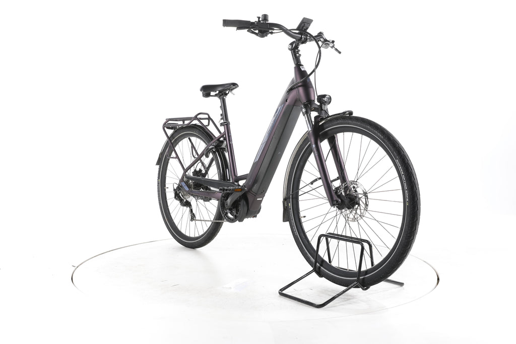 Pegasus Solero Evo 9 Trekking E-Bike Tiefeinsteiger 2024 - Image 3