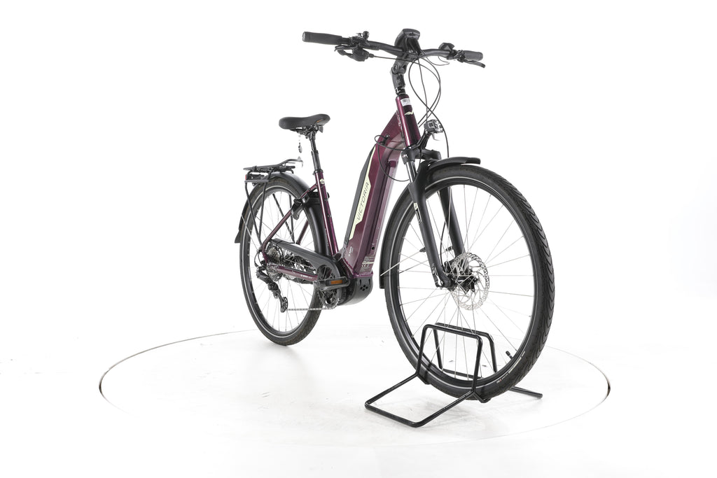 Victoria eTrekking 10.8 Trekking E-Bike Tiefeinsteiger - Image 3