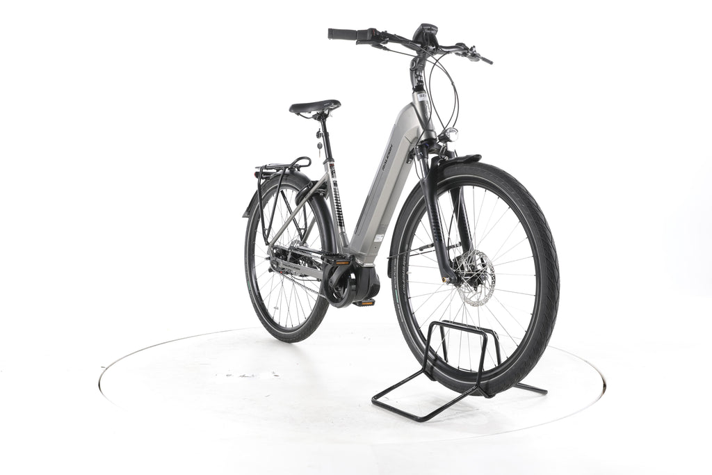 Raleigh Bristol XXL City E-Bike Tiefeinsteiger - Image 3
