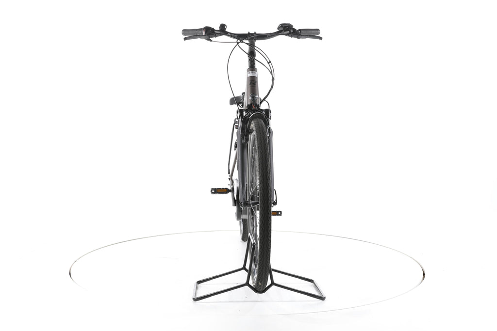R Raymon CityRay E 2.0 CB City E-Bike Tiefeinsteiger - Image 4