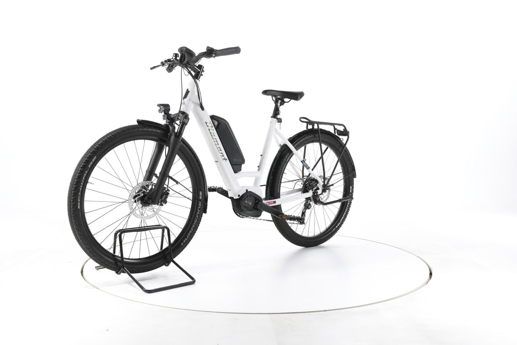 Diamant Zing+ Gen 1 Trekking E-Bike Tiefeinsteiger - Image 6