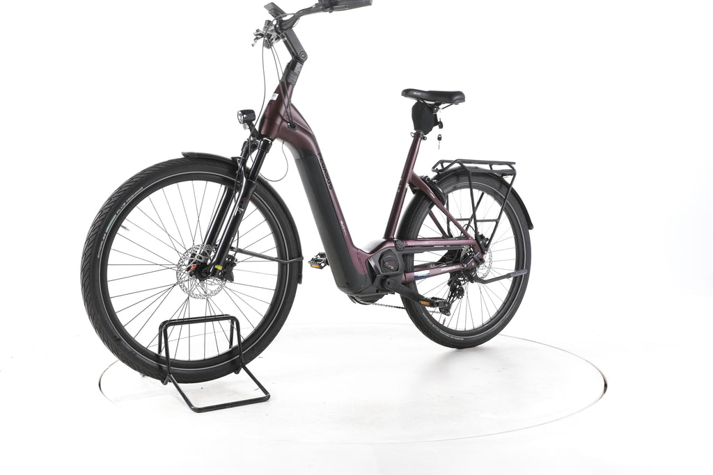 Pegasus Strong Evo 10 Lite Trekking E-Bike Tiefeinsteiger 2024 - Image 6
