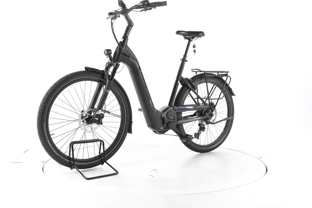 Pegasus Strong EVO 12 Lite Trekking E-Bike Tiefeinsteiger - Image 6
