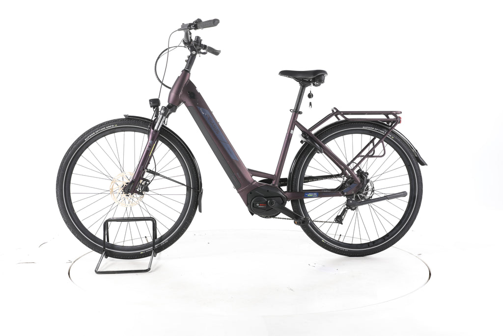 Pegasus Solero EVO 9 Trekking E-Bike Tiefeinsteiger - Image 7