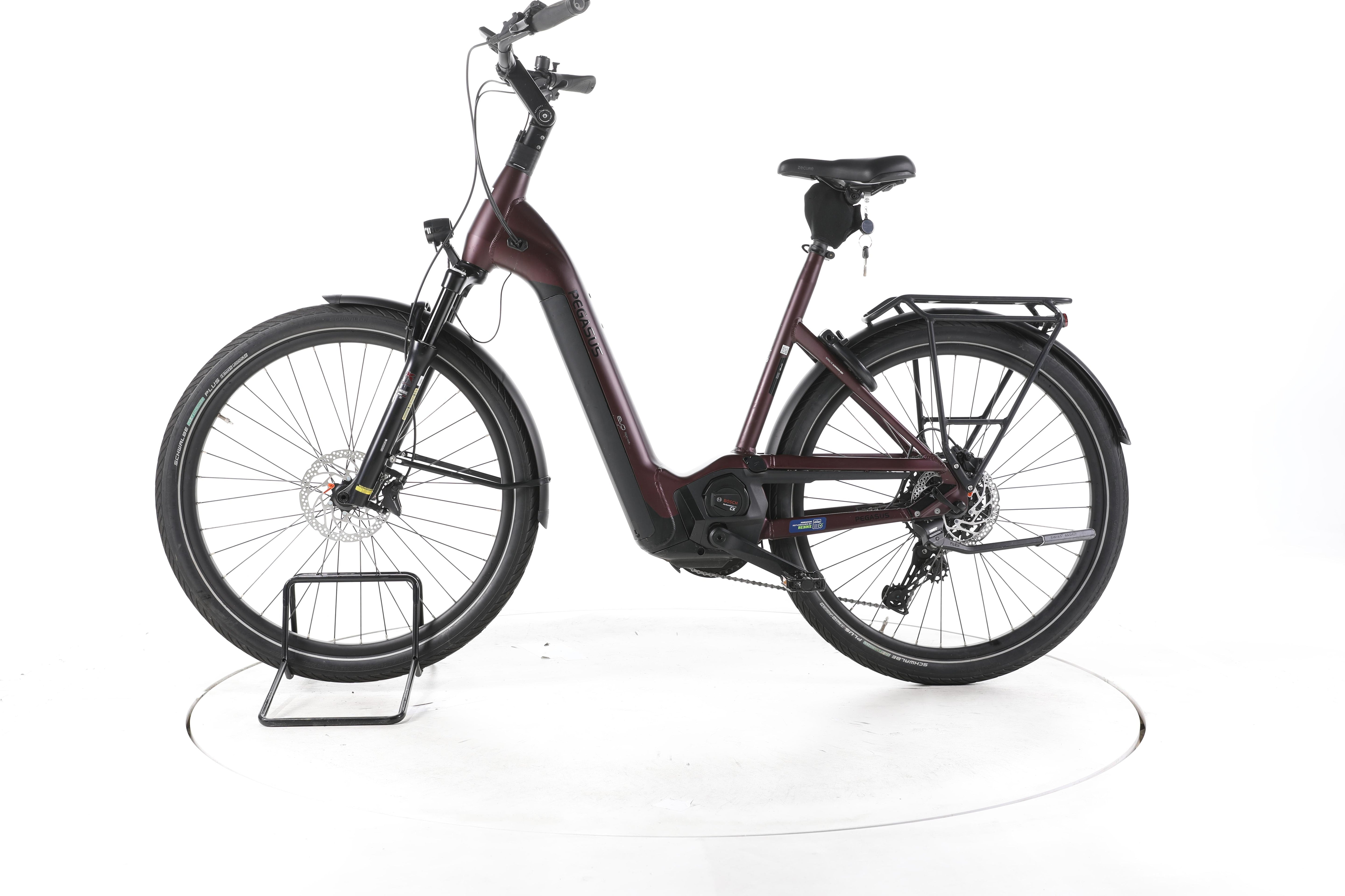 Pegasus Strong Evo 10 Lite Trekking E-Bike Tiefeinsteiger 2024 - Image 7
