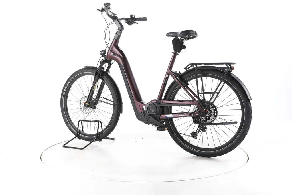 Pegasus Strong Evo 10 Lite Trekking E-Bike Tiefeinsteiger 2024 - Image 8