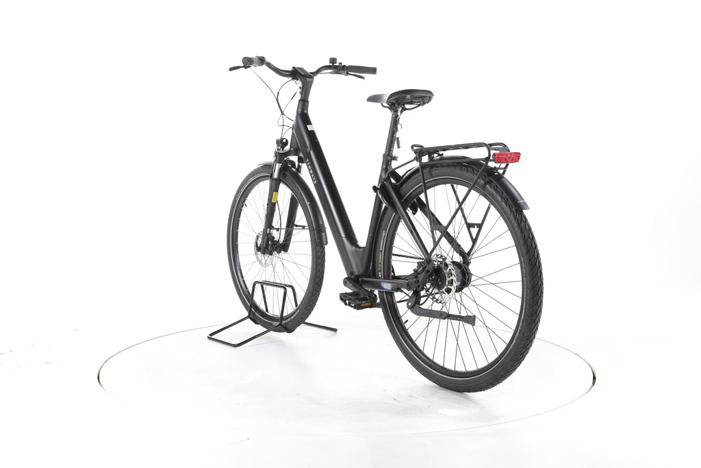 TENWAYS CGO800 S City E-Bike Tiefeinsteiger - Image 9
