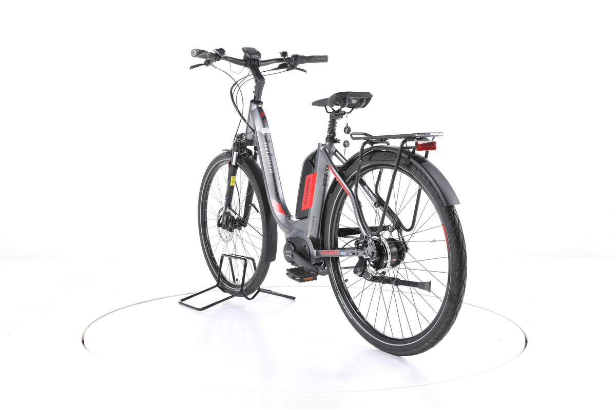 Atlanta Rückenwind 5.0 RT City E-Bike Tiefeinsteiger - Image 9