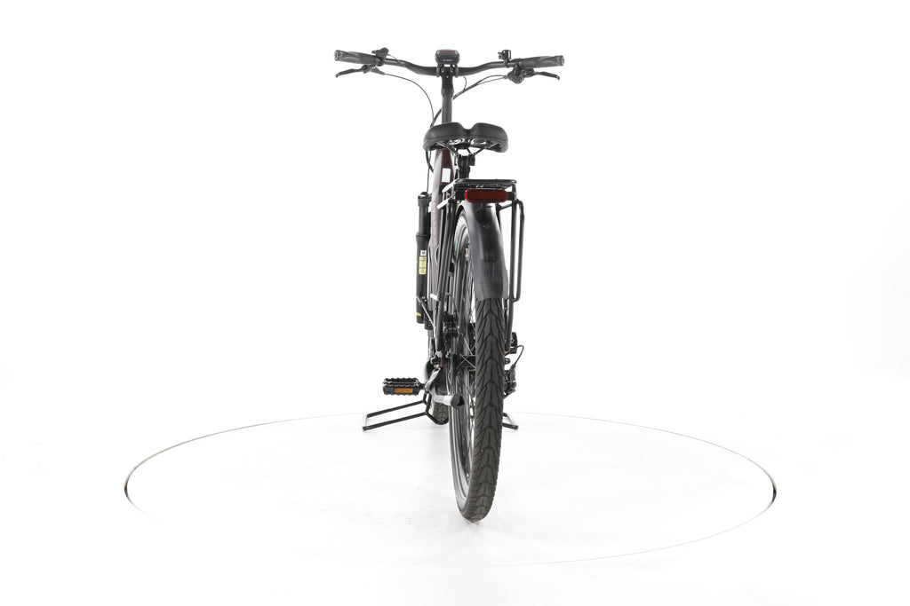 Pegasus Strong EVO 10 Lite Trekking E-Bike Tiefeinsteiger - Image 10