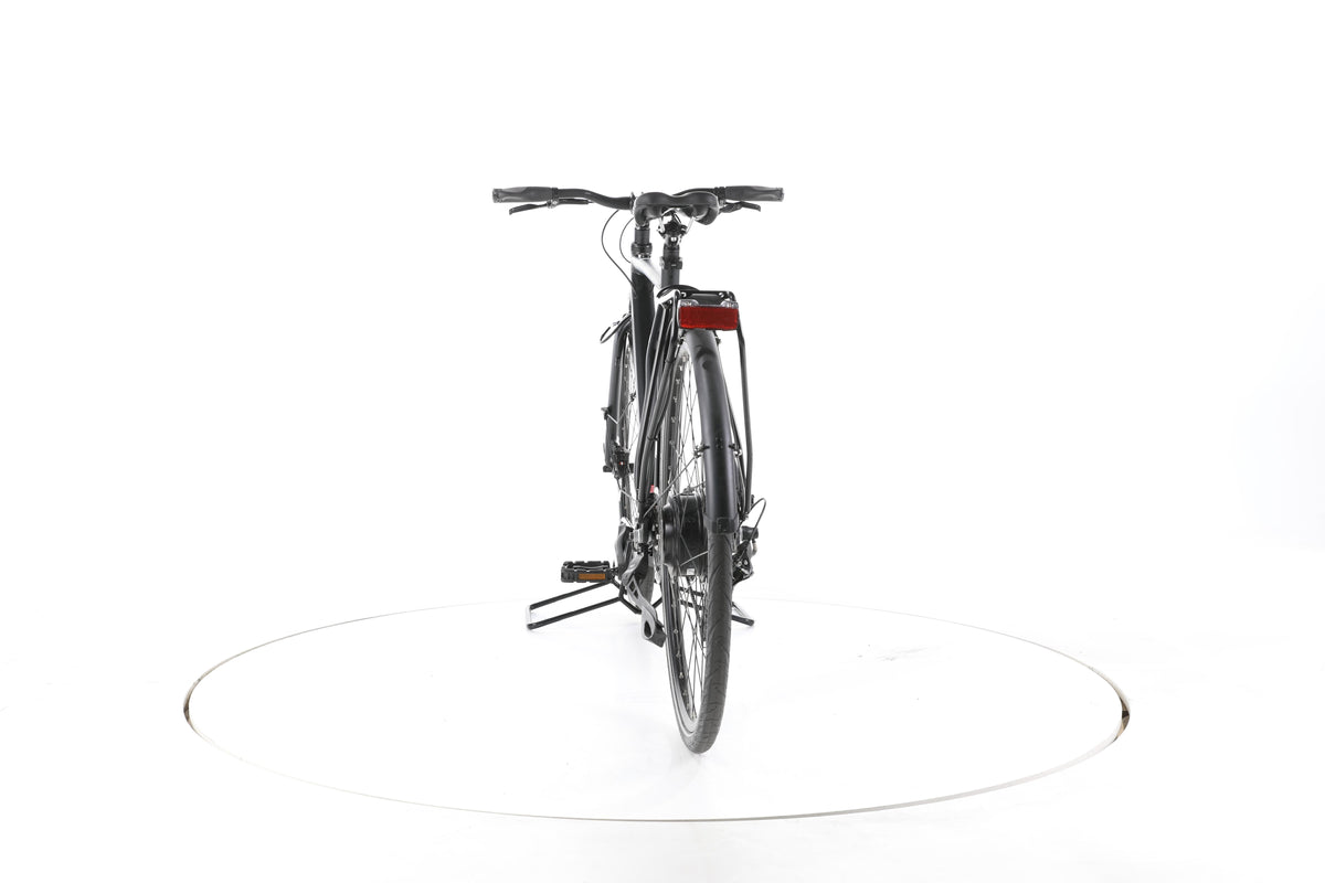 Rabeneick TS-E Trekking E-Bike - Image 10