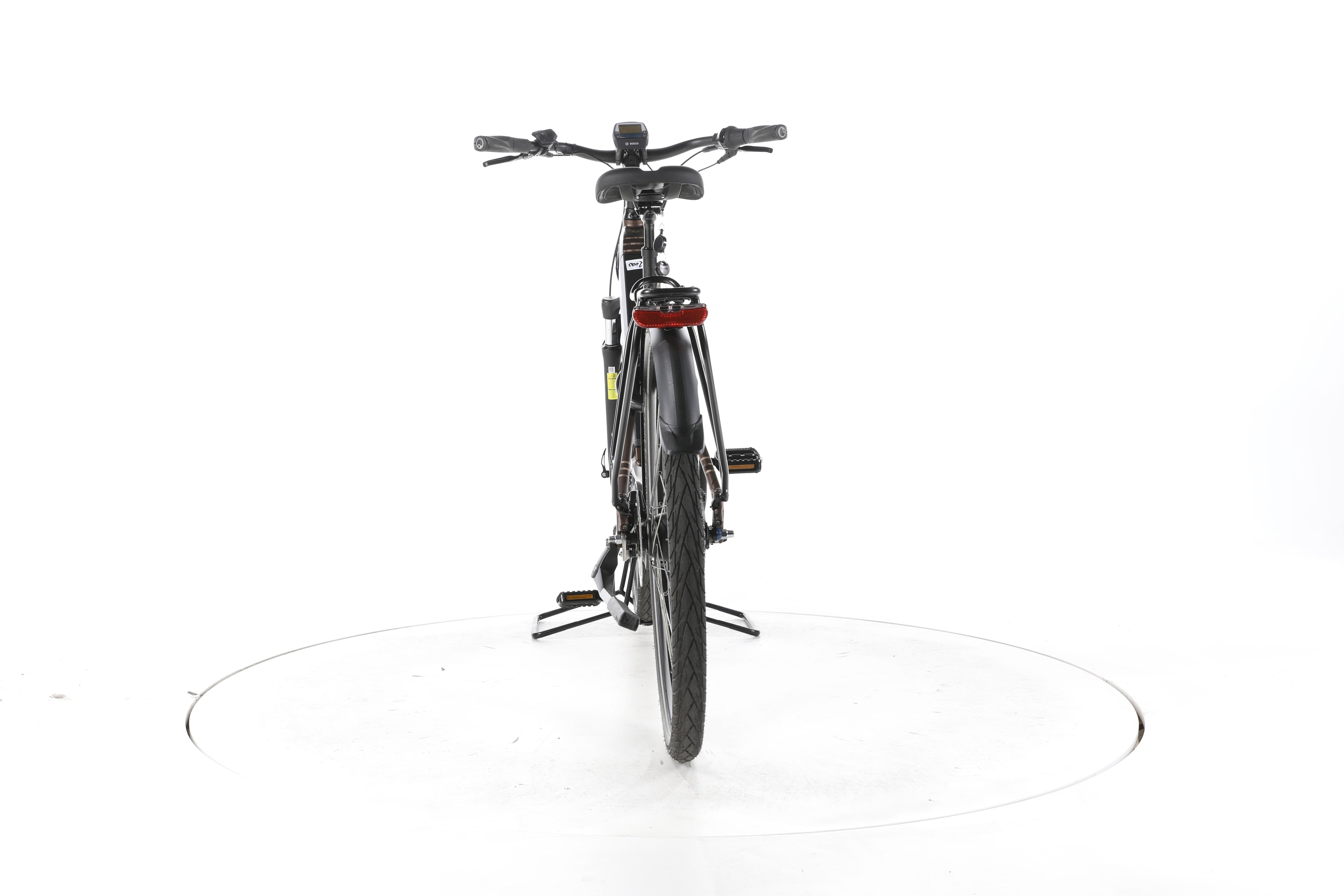 Raleigh Bristol XXL City E-Bike Tiefeinsteiger - Image 10