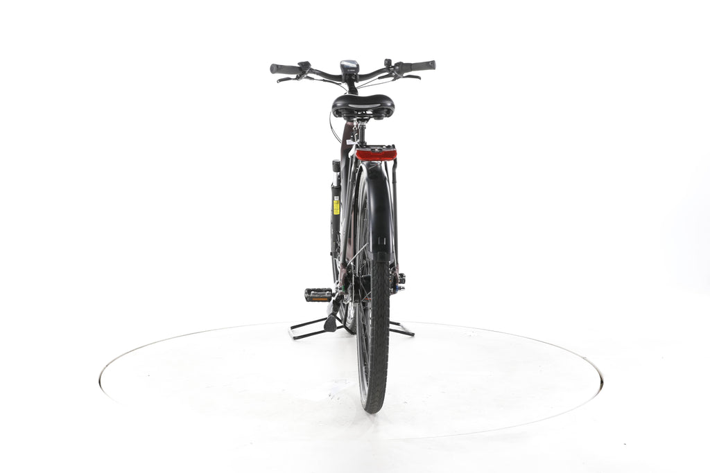 Carver Cityzen E.420 RT City E-Bike Tiefeinsteiger - Image 10