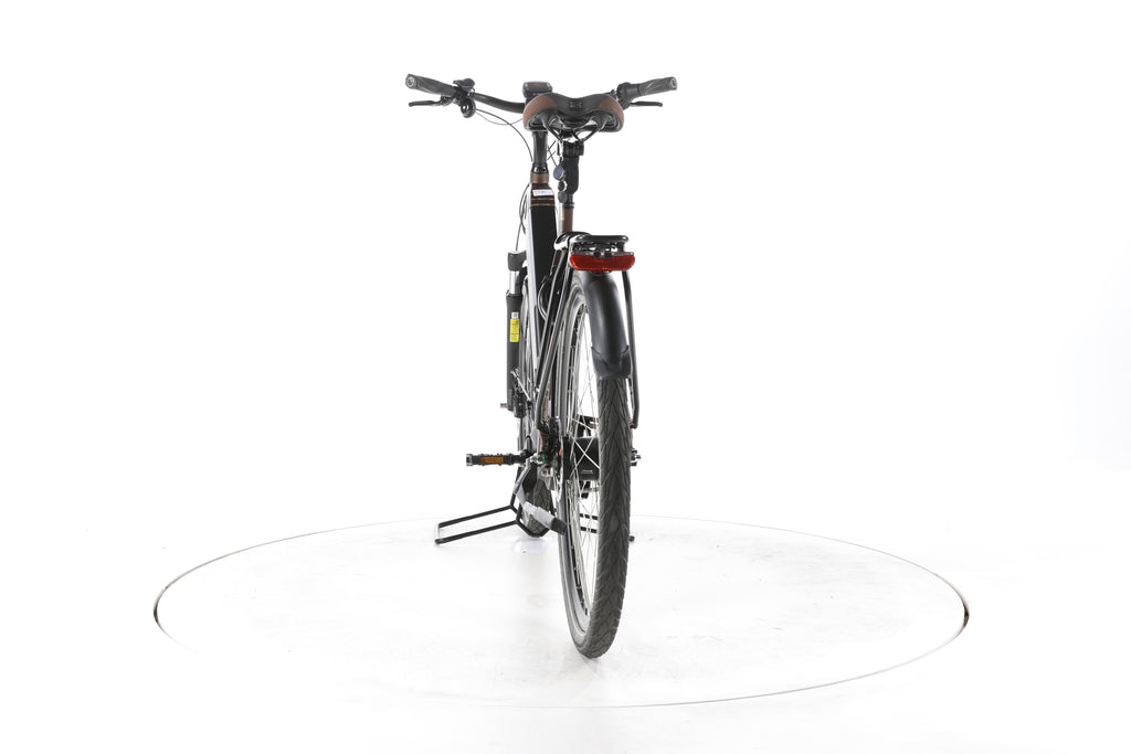 Raleigh Bristol XXL City E-Bike Tiefeinsteiger - Image 10
