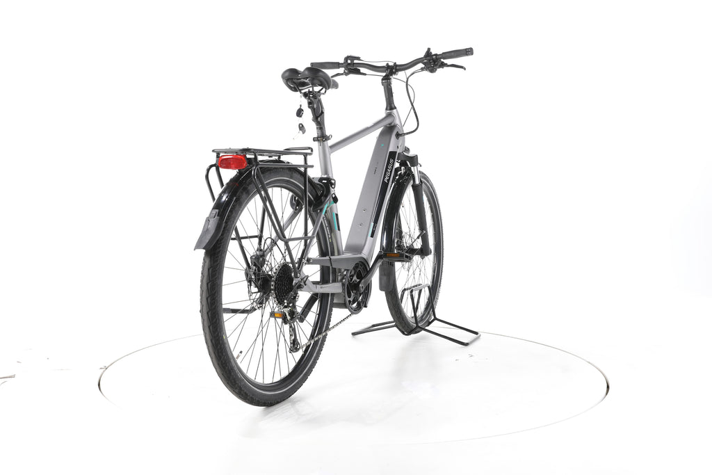 Pegasus EVO CX Trekking E-Bike - Image 11