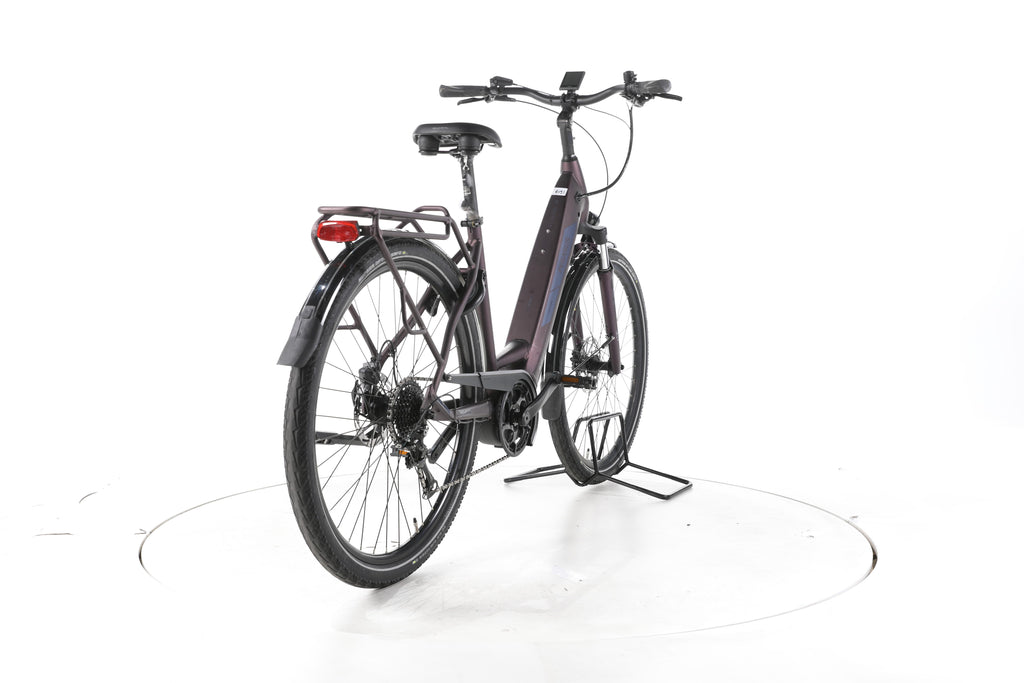 Pegasus Solero EVO 9 Trekking E-Bike Tiefeinsteiger - Image 11