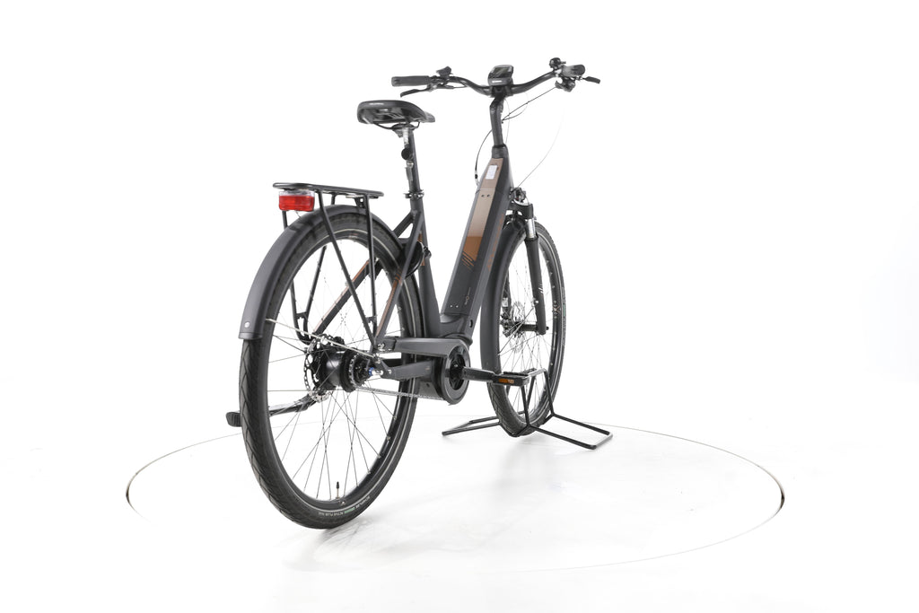 RIVERSIDE EC900 Trekking E-Bike Tiefeinsteiger - Image 11
