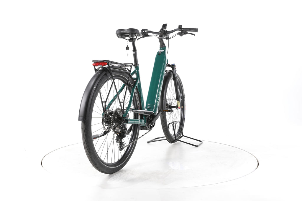 ADVANCED Trekking Pro Wave Trekking E-Bike Tiefeinsteiger - Image 11