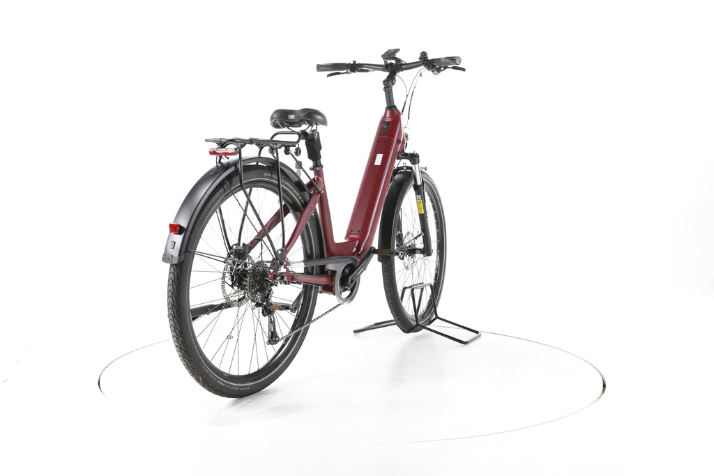 Campus SM18 Trekking E-Bike Tiefeinsteiger - Image 11