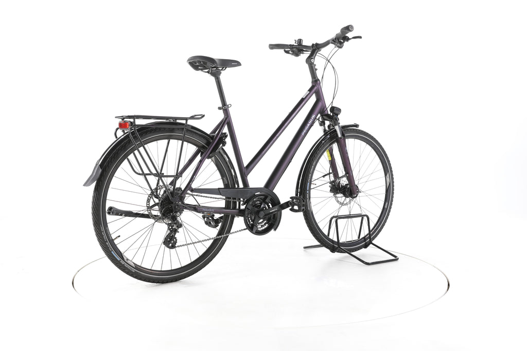 Pegasus Savona SL Disc 24 Fahrrad City & Trekking - Image 12