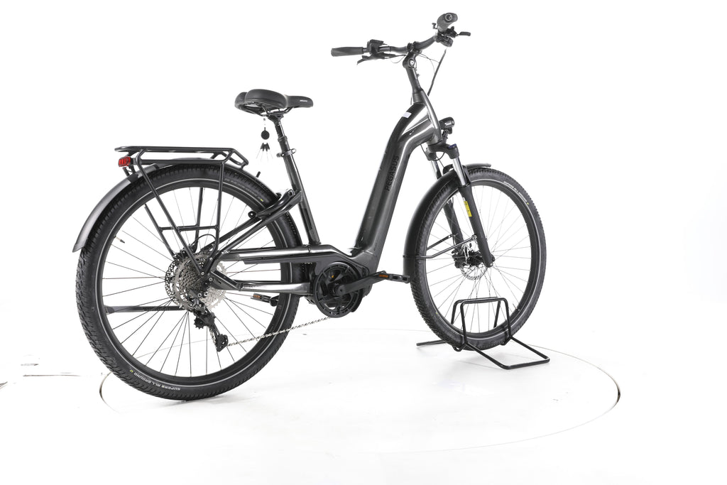 Pegasus Savino Evo 10D Trekking E-Bike Tiefeinsteiger - Image 12