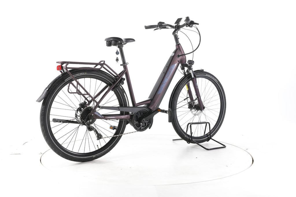 Pegasus Solero EVO 9 Trekking E-Bike Tiefeinsteiger - Image 12