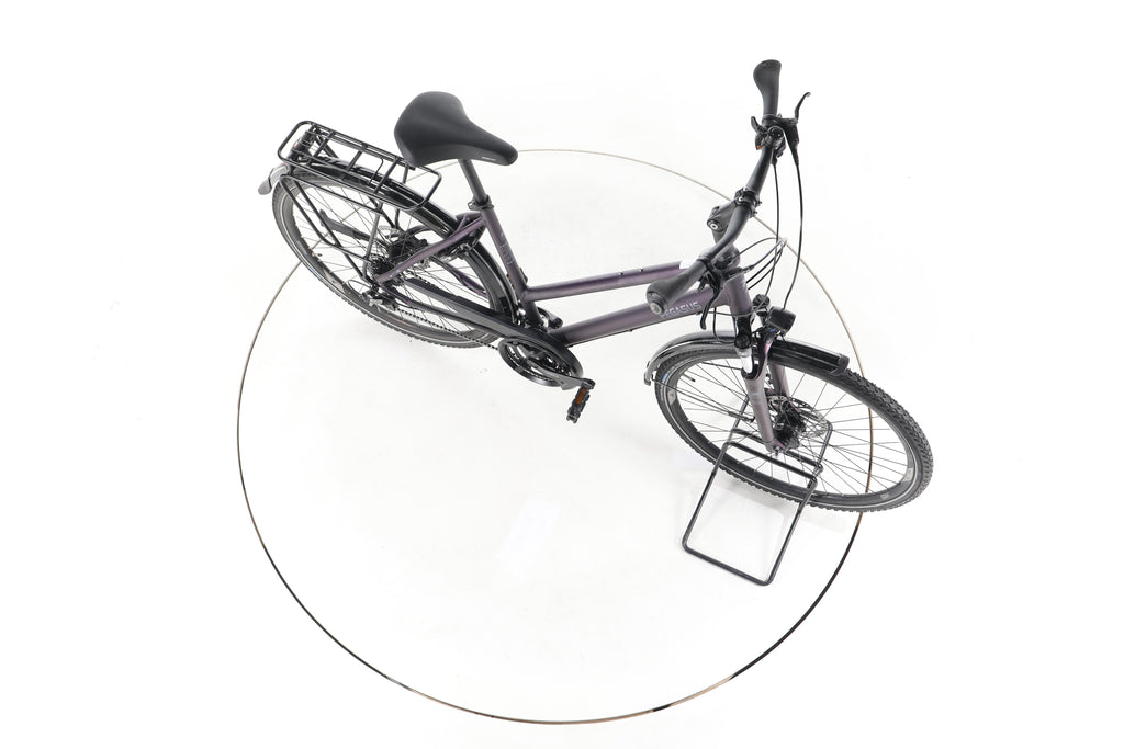 Pegasus Savona SL Disc 24 Fahrrad City & Trekking - Image 14