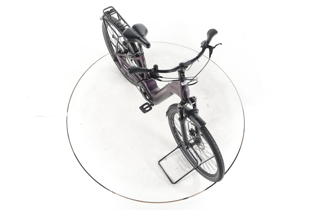 Pegasus Premio EVO 11 "40 Years" Trekking E-Bike Tiefeinsteiger - Image 15