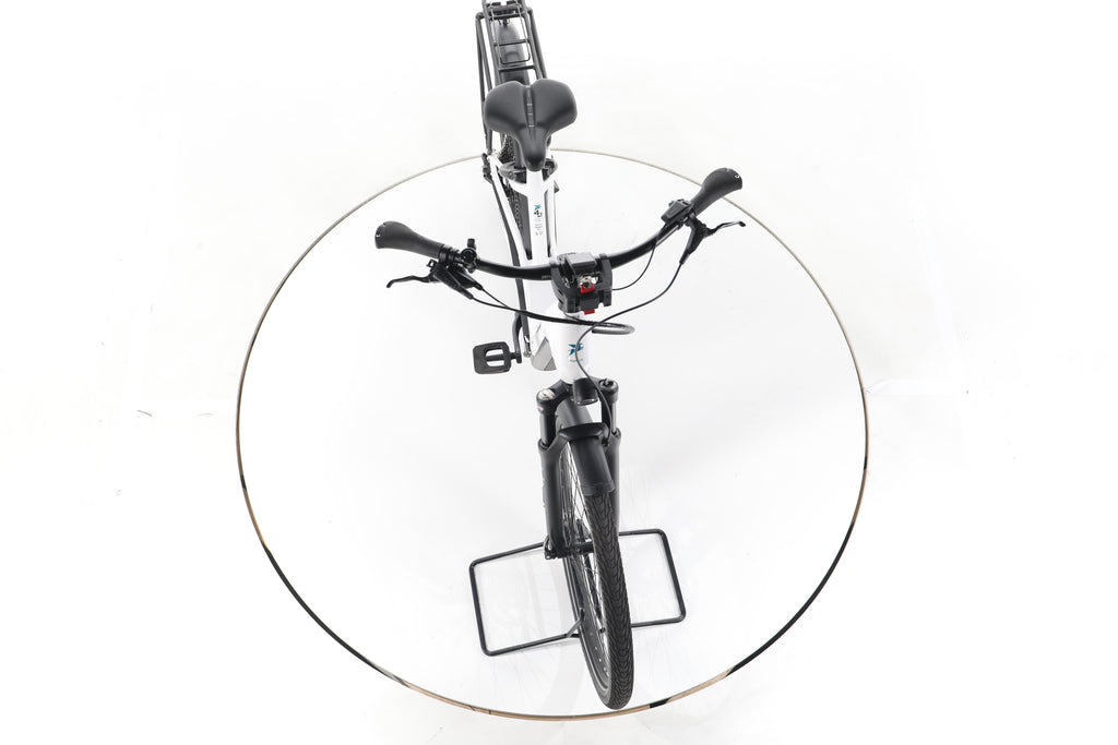 Pegasus Premio EVO 11 "40 Years" Trekking E-Bike Tiefeinsteiger - Image 16