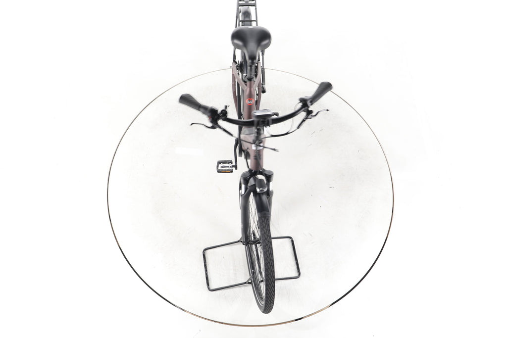 Carver Cityzen E.420 RT City E-Bike Tiefeinsteiger - Image 16