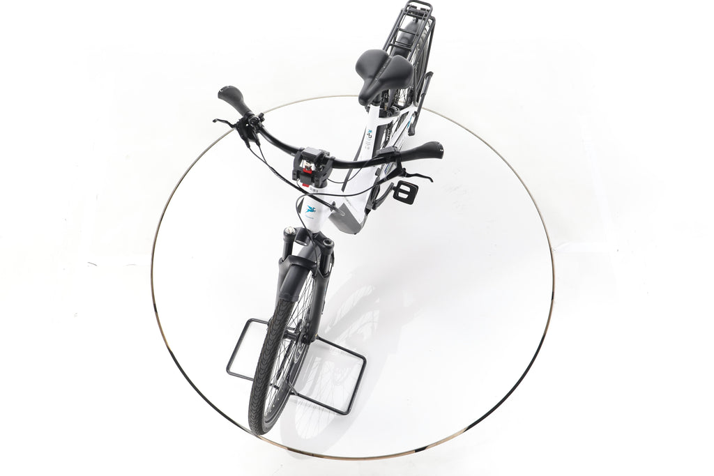 Pegasus Premio EVO 11 "40 Years" Trekking E-Bike Tiefeinsteiger - Image 17