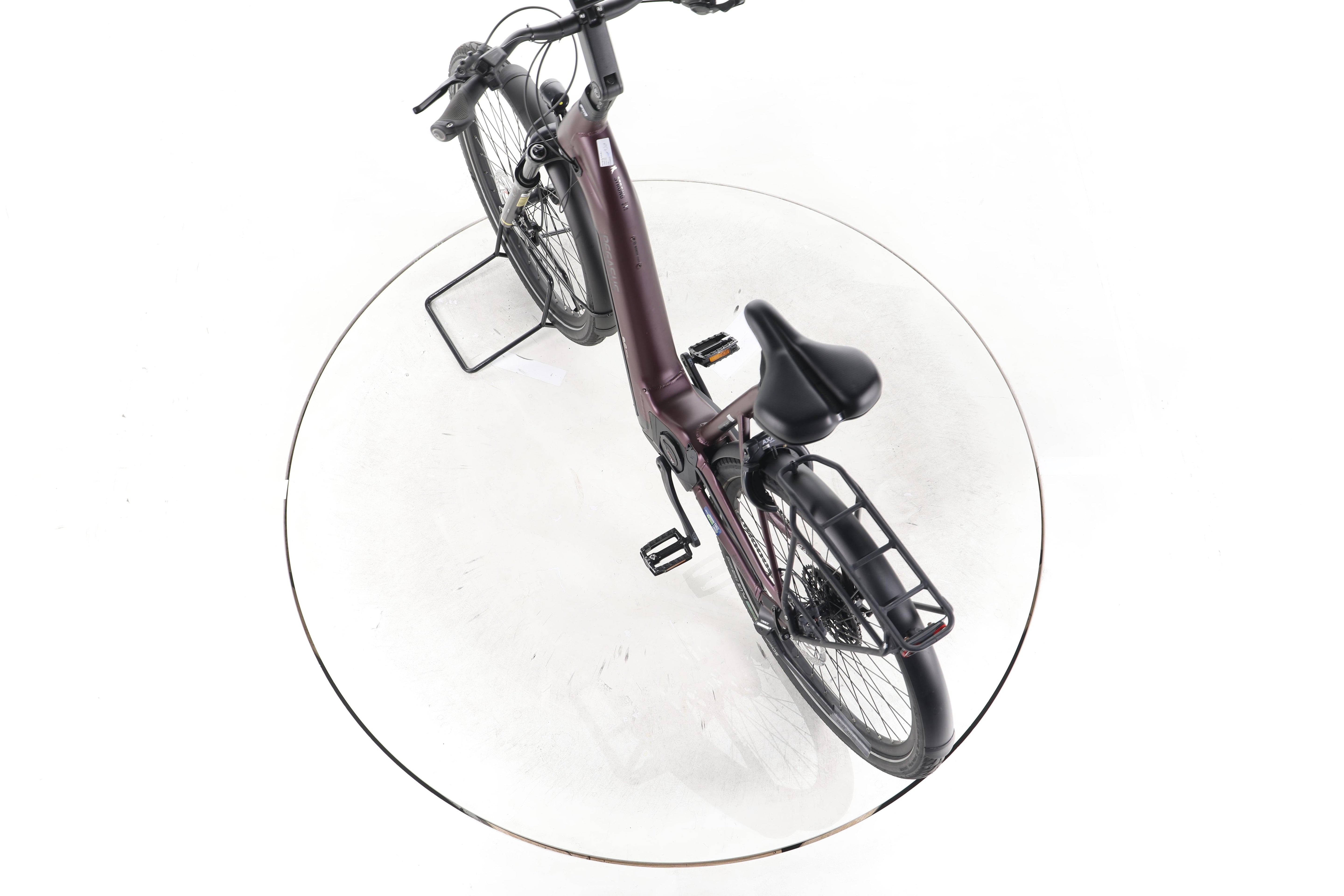 Pegasus Strong Evo 10 Lite Trekking E-Bike Tiefeinsteiger 2024 - Image 21